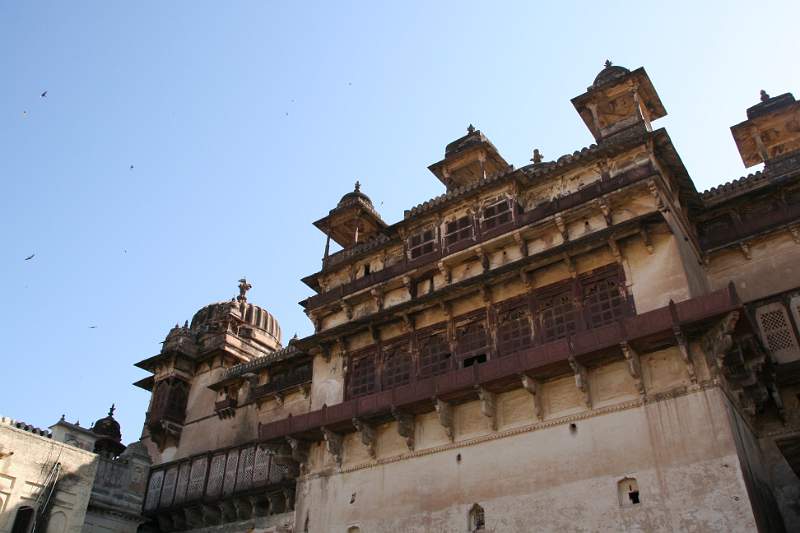 India & Nepal 2011 - 1001